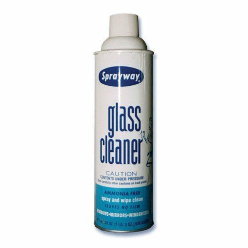 Sprayway Window Mirror Windshield Glass Cleaner 19Oz Streak Free